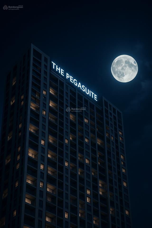 Căn hộ đẹp nhiều tiện ích tại the pegasuite, 4,38 tỷ, 68m2, 2pn, 2wc