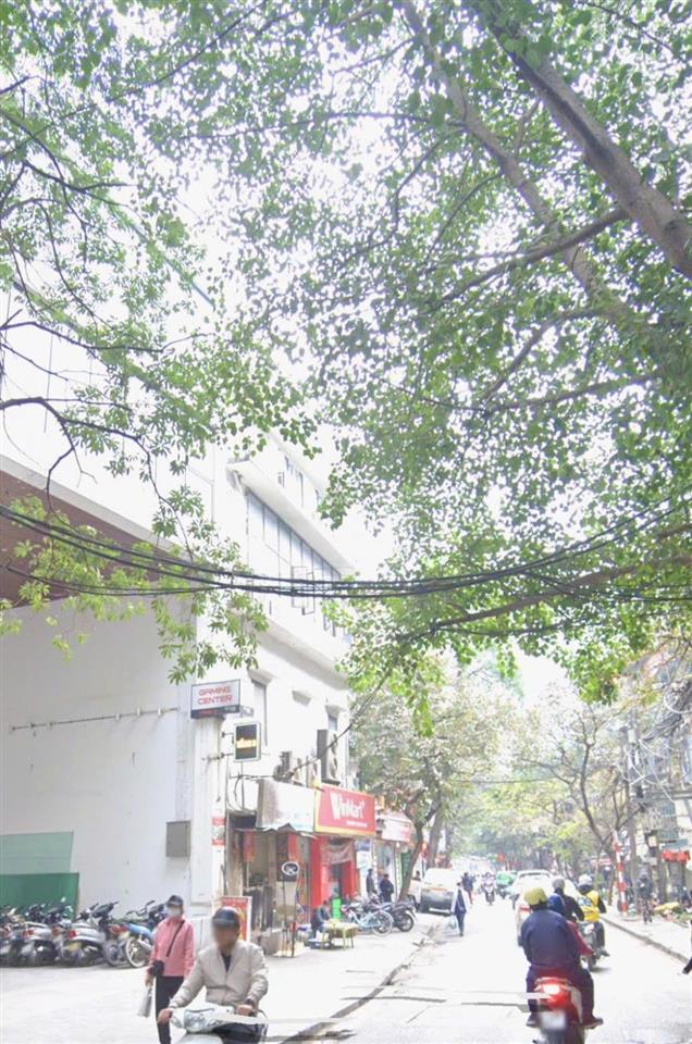 Bán nhà mặt phố tại vũ thạnh, ô chợ dừa, đống đa, giá thỏa thuận, 369m2, 8 tầng, mặt tiền 14m