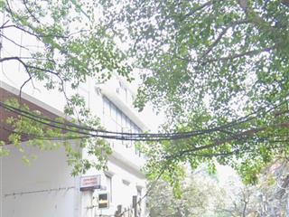 Hiếm bán toà nhà 8 tầng, mặt phố vũ thạnh, hào nam, đống đa, dt 370m2 hiện đang cho thuê