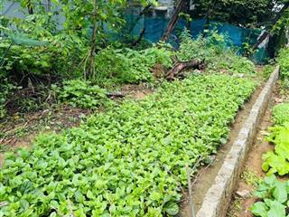 Hot! mt đường lưu quang vũ nối dài tđc bá tùng  hoà quý nhs tpđn  100m2 ngan 5m  giá chỉ 3tỷ3