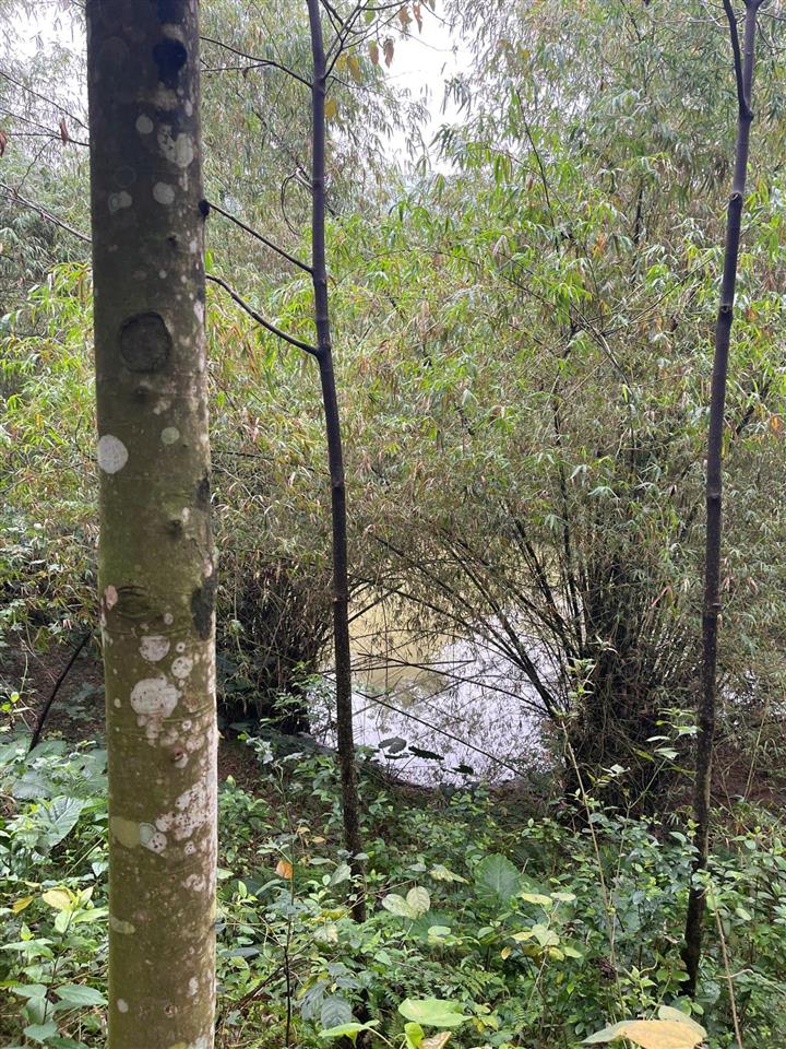 Chính chủ cần bán 2 lô đất liền nhau, mỗi lô hơn 1000m2, có bán lẻ. sẵn sổ đỏ, bao ktra quy hoạch