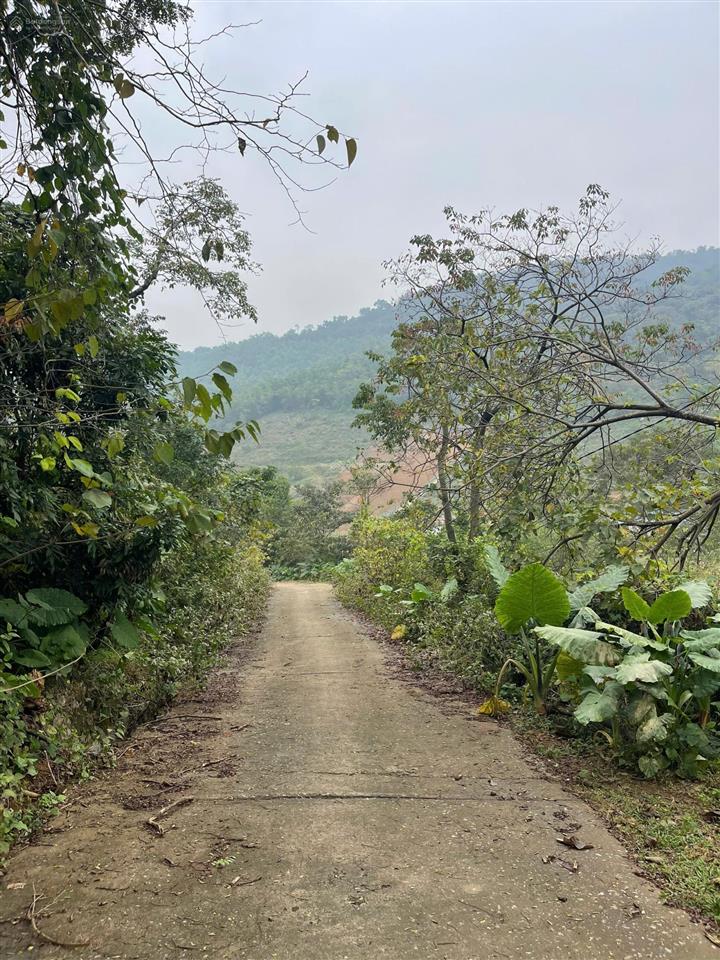 Chính chủ cần bán 2 lô đất liền nhau, mỗi lô hơn 1000m2, có bán lẻ. sẵn sổ đỏ, bao ktra quy hoạch