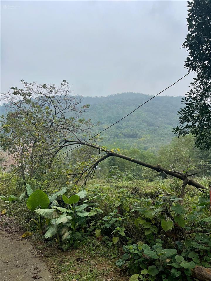 Chính chủ cần bán 2 lô đất liền nhau, mỗi lô hơn 1000m2, có bán lẻ. sẵn sổ đỏ, bao ktra quy hoạch