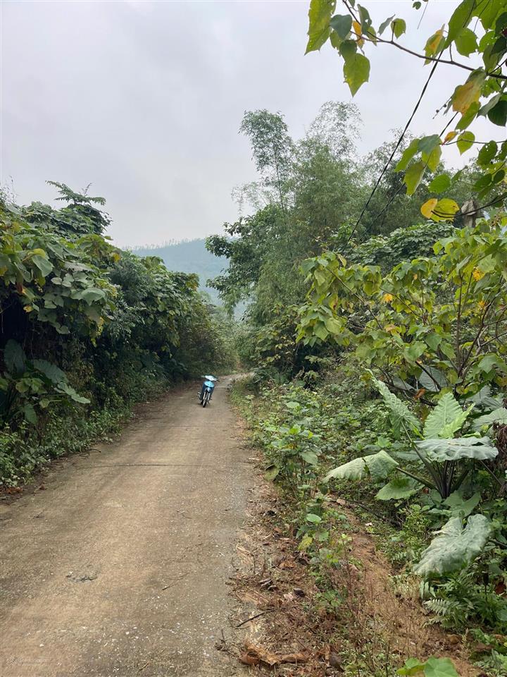 Chính chủ cần bán 2 lô đất liền nhau, mỗi lô hơn 1000m2, có bán lẻ. sẵn sổ đỏ, bao ktra quy hoạch