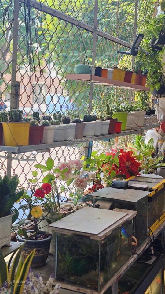 1 tỷ mấy có hộ khẩu, sổ đỏ lê văn sỹ tân bình, căn hộ rộng, thoáng, mặt tiền đắc địa
