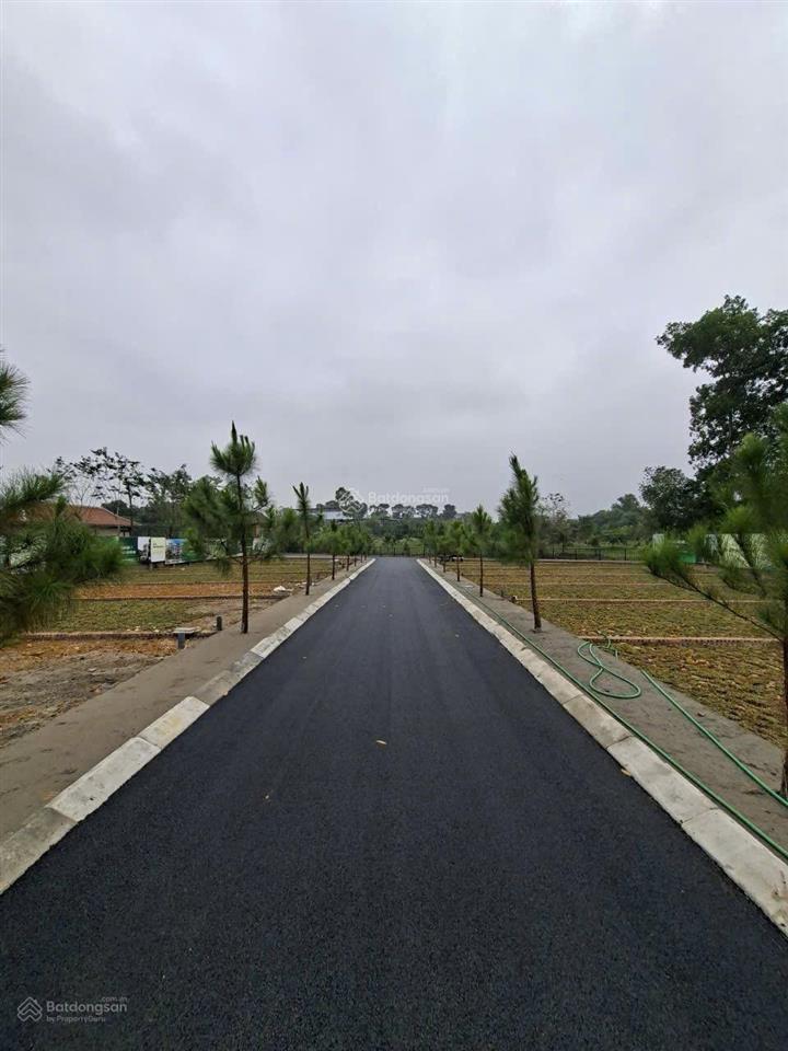 Cơ hội đầu tư f0 quỹ đất đồng trạng hiếm