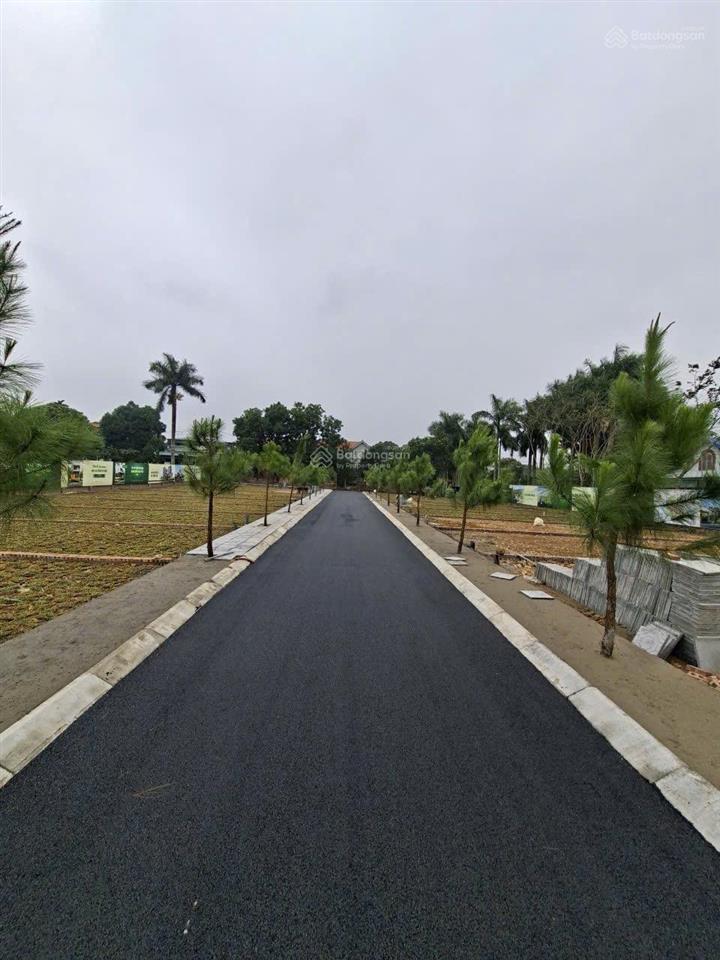 Cơ hội đầu tư f0 quỹ đất đồng trạng hiếm