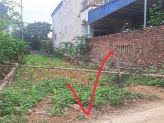 Chính chủ cần bán gấp 100m2 tại phú cát hoà lạc 25tr/m2