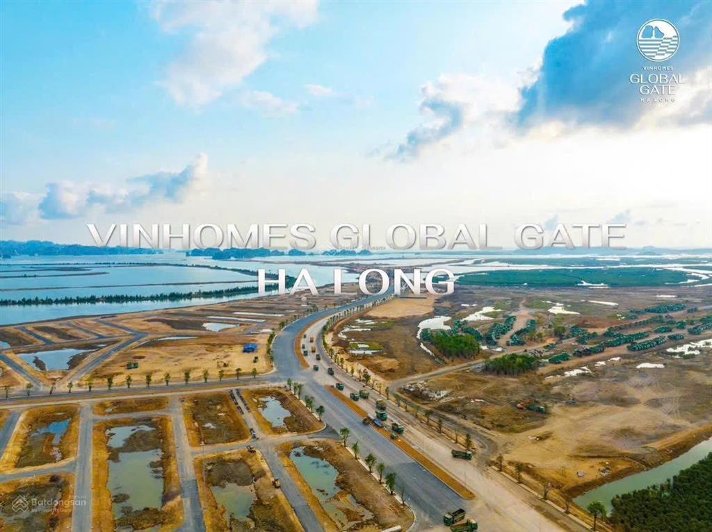 100% phòng kinh doanh chủ đầu tư vinhomes nhận đặt cọc mua biệt thự vinhomes hạ long xanh