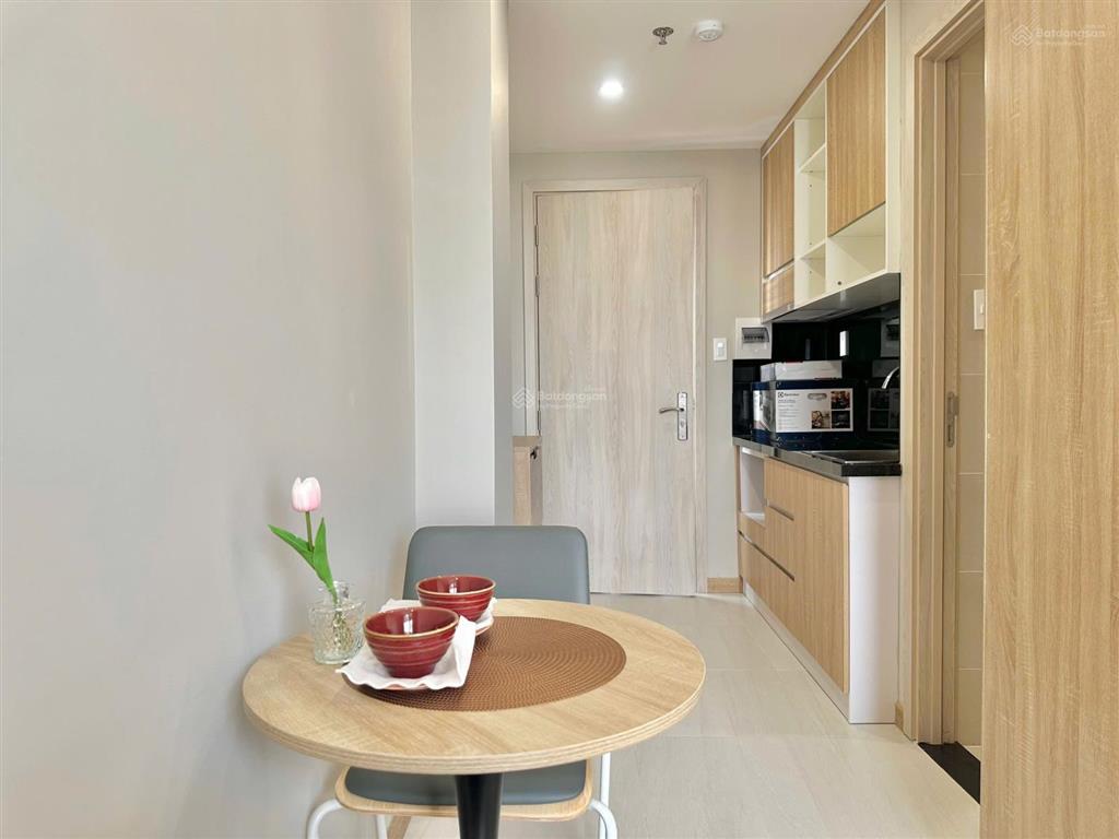 Căn hộ studio cao cấp view hồ  sát ufm, lâm văn bền quận 7, lotte mart