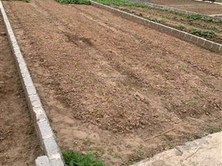 Bán đất chương dương dương cho nhà đầu tư hàng f0, 80m2, ô tô đỗ cửa