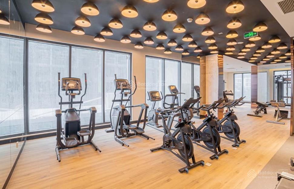 Chính chủ cho thuê căn hộ masterise west heights, 8,5 triệu vnd, 30 m2, full đồ, tầng trung