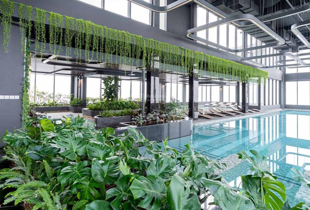 Chính chủ cho thuê căn hộ masterise west heights, 8,5 triệu vnd, 30 m2, full đồ, tầng trung