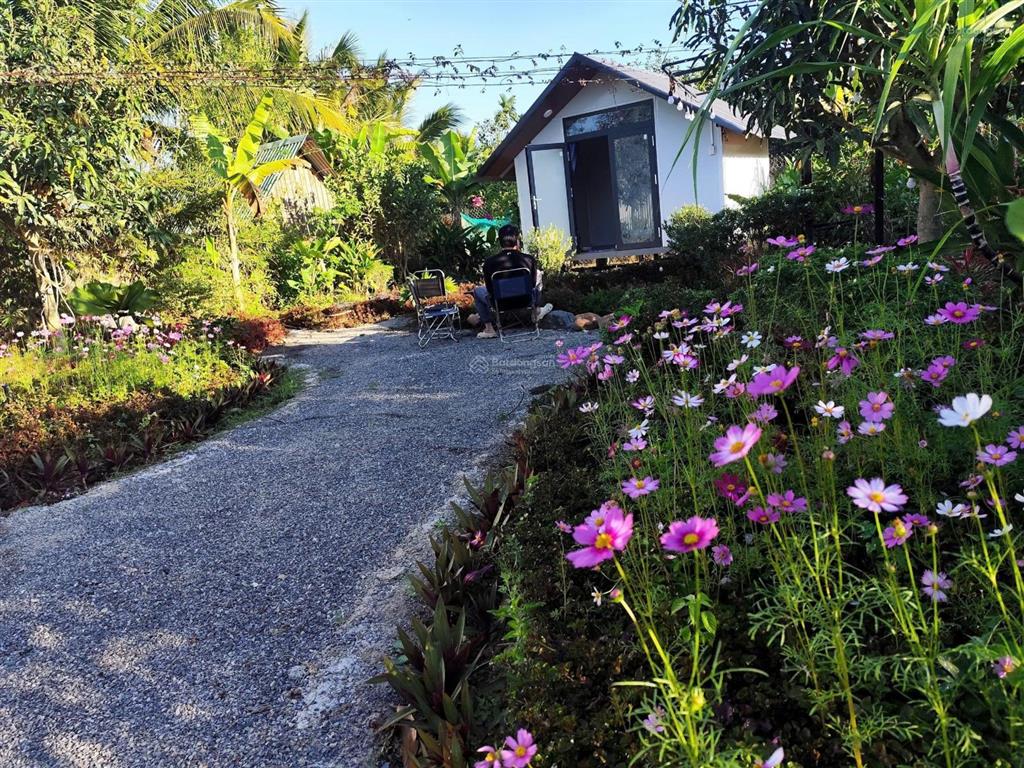 Bán mini farmstay 319m² thổ cư giá chỉ 1, x tỷ  xã tiểu học thôi