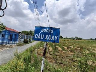 Bán gấp 2500m2 có 783m2 thổ cư, MT đường Cầu Xoay, Mỹ Lệ, Cần Đước, giá rẻ 7 tỷ