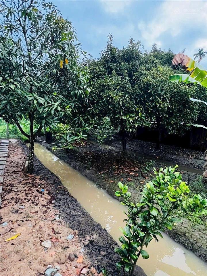 Đất vườn view sông giá tốt tại an sơn 21 là nơi an cư lý tưởng