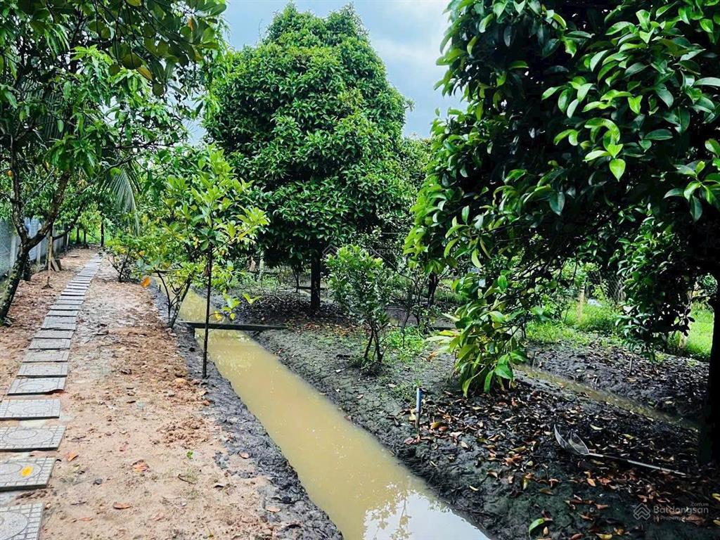 Đất vườn view sông giá tốt tại an sơn 21 là nơi an cư lý tưởng