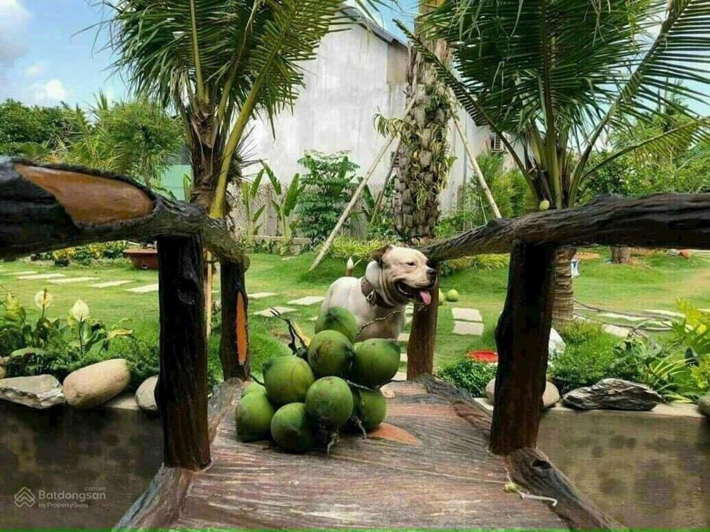 Bán nhà vườn 864.6m2, phước thạnh, củ chi