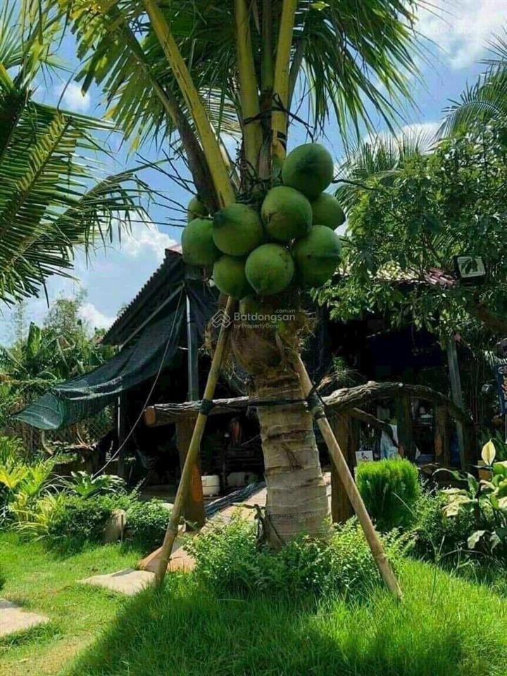 Bán nhà vườn 864.6m2, phước thạnh, củ chi