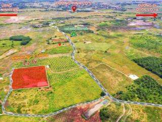 Cần bán nhanh nhà vườn ninh hưng, ninh hòa đã có sẵn cây ăn quả và hệ thống nước giá chỉ 132k/m