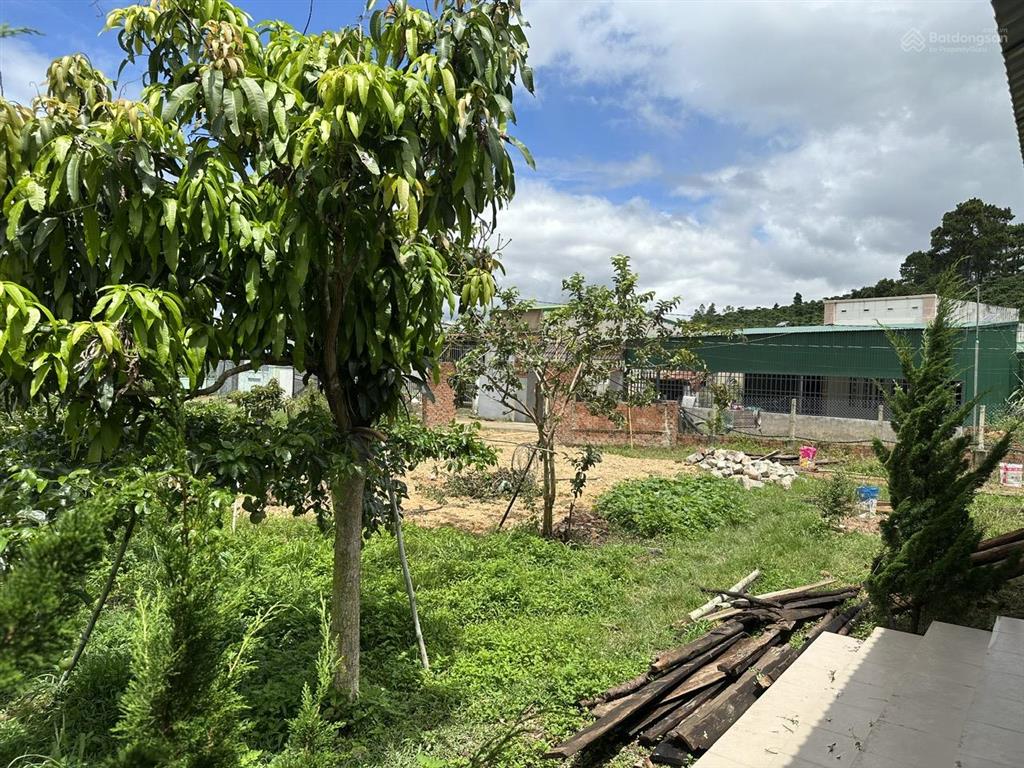 Tôi cần bán gấp đất nhà vườn (cách chợ đinh văn 2km) xã đạ đờn, lâm hà. dt 3014m2, giá 3,6tỷ