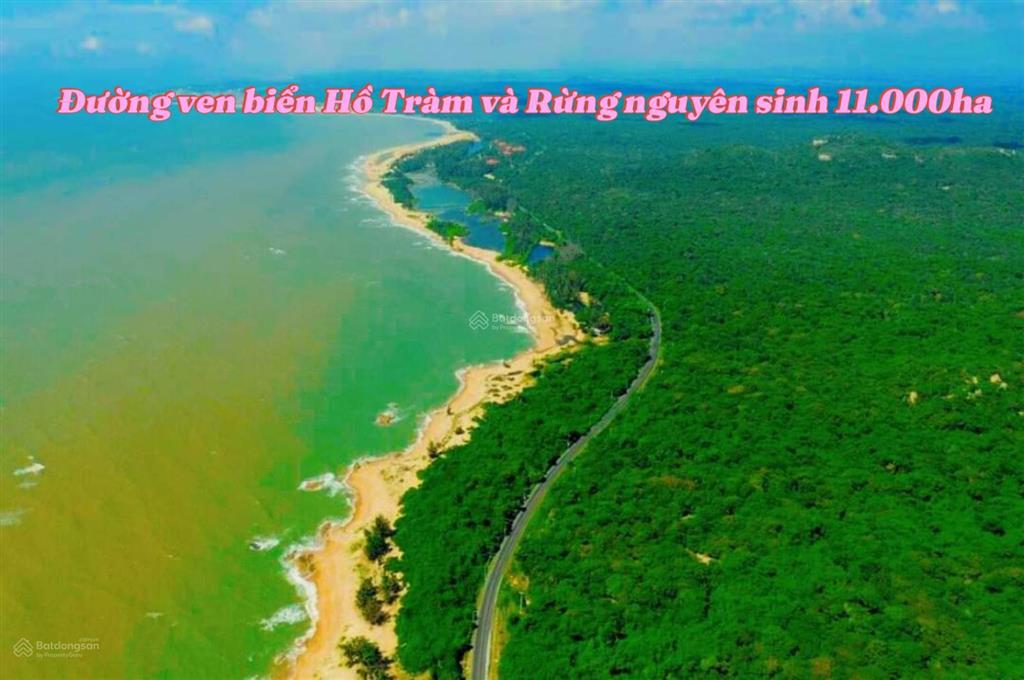 Đất đường suối tre hồ tràm  tp. hcm, 4,9 triệu / m2, 550 m2 siêu hot