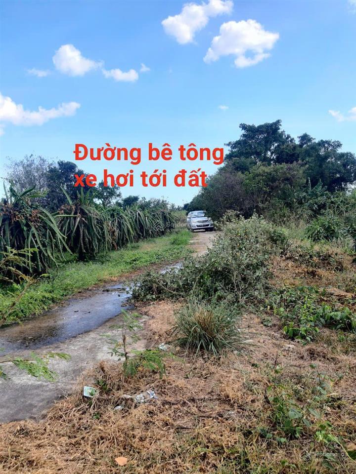 Đất ven sông cái  kênh hồ sông quao, thuận lợi làm kdl sinh thái, nhà vườn