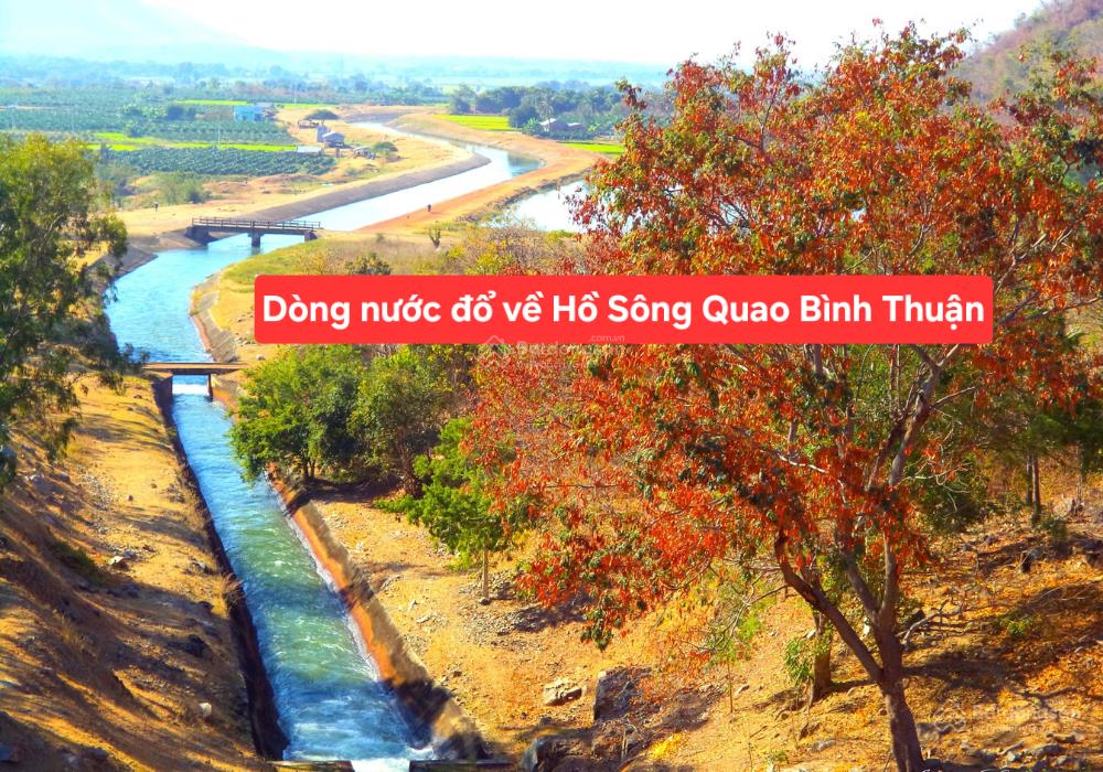 Đất ven sông cái  kênh hồ sông quao, thuận lợi làm kdl sinh thái, nhà vườn