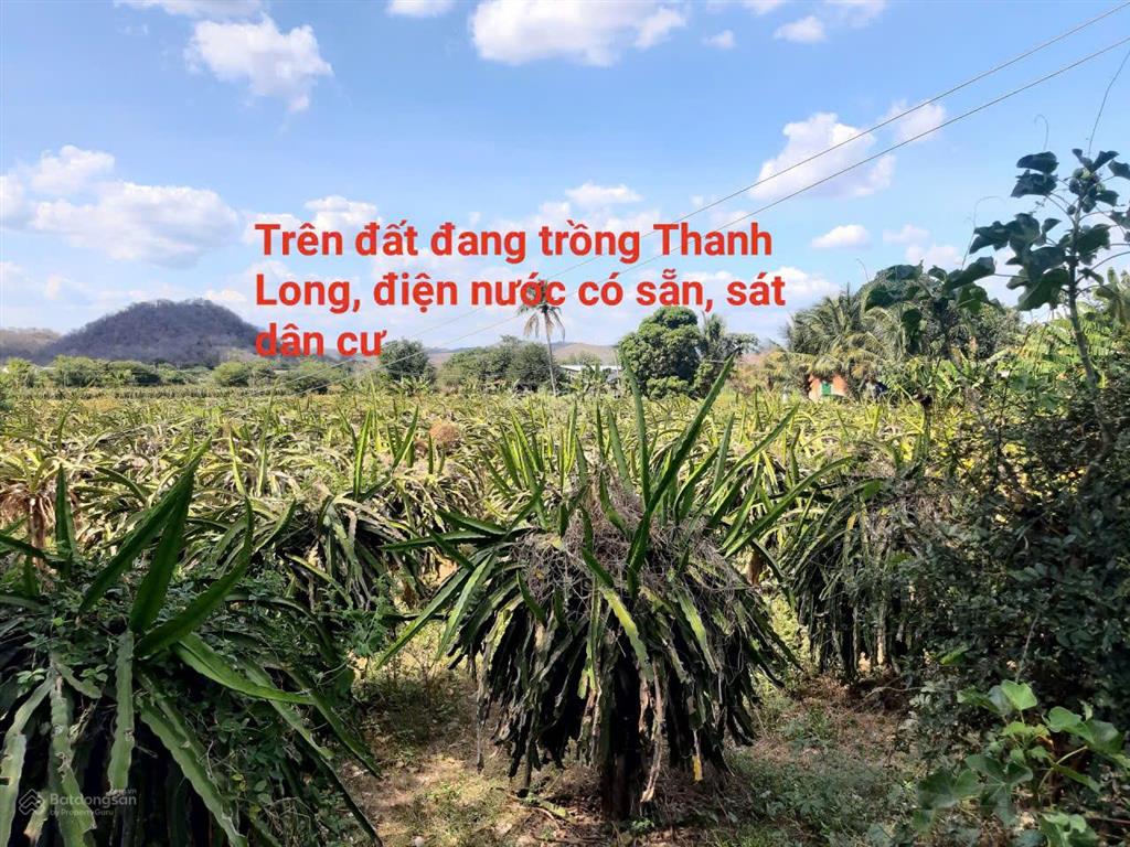 Đất ven sông cái  kênh hồ sông quao, thuận lợi làm kdl sinh thái, nhà vườn