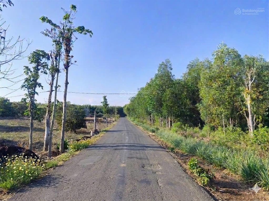 Hot! đất gần đường 91  cách kdl bình châu 5km