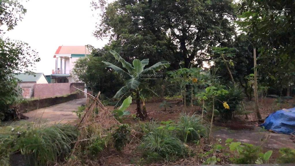 Bán khu đất chính chủ chưa qua mua bán tại hoà thạch  phú cát  hà nội !