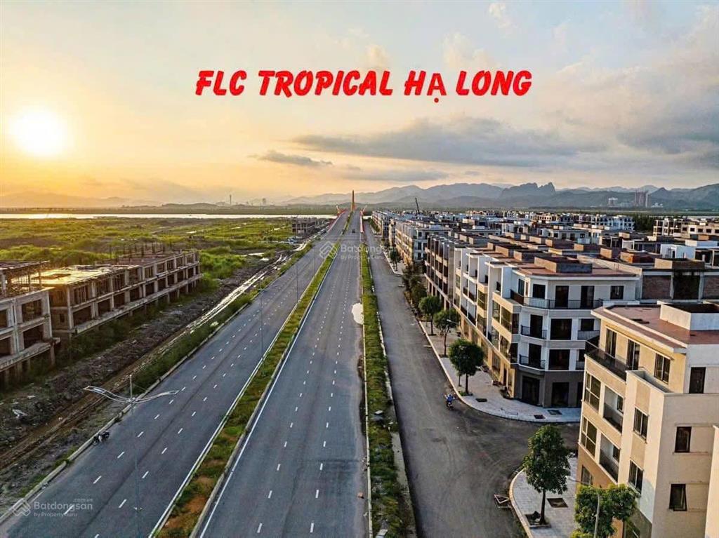 Bán lô đất nền mặt đường 31m cạnh góc giá rẻ tại dự án flc tropical hạ long