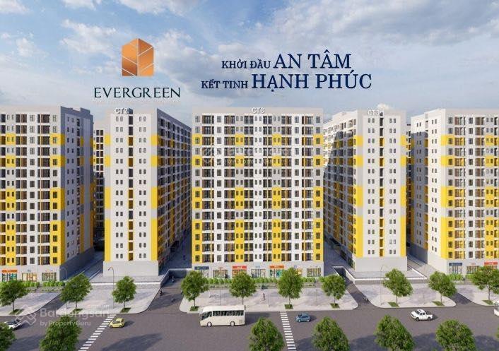 Cho thuê căn hộ evergreen tràng duệ  full nội thất