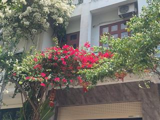 Bán nhà biệt thự 7,2 tỷ, 100m2 tại liên kế khu đồi 2, bình giã, vũng tàu