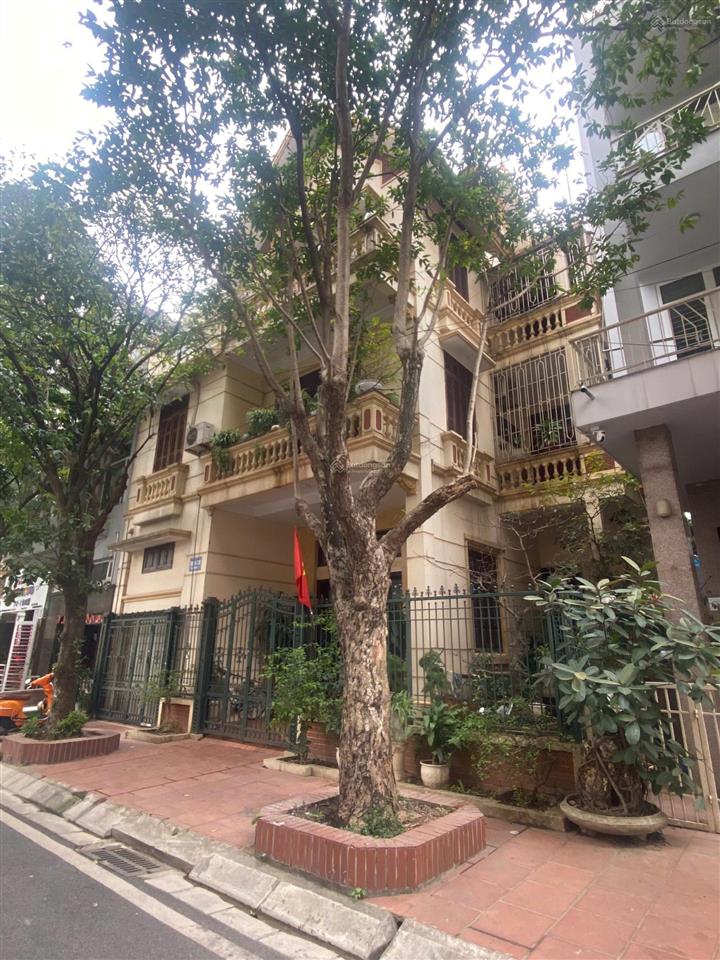 Bán gấp bt mỹ đình 1, căn vip, mặt tiền nguyễn cơ thạch, mt siêu rộng 11m cam kết giá tốt