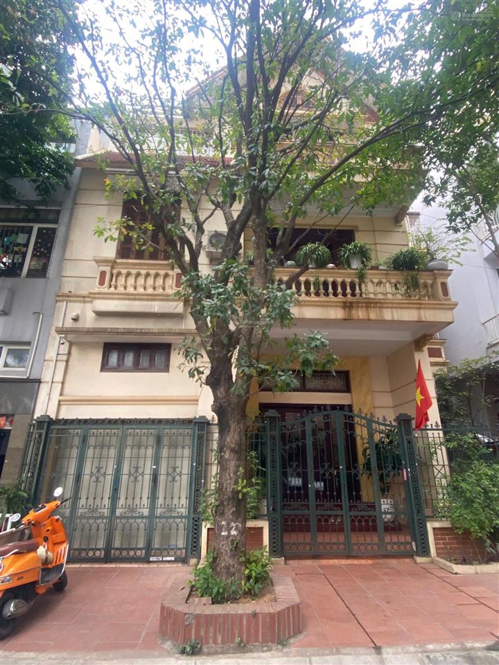 Bán gấp bt mỹ đình 1, căn vip, mặt tiền nguyễn cơ thạch, mt siêu rộng 11m cam kết giá tốt