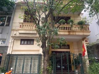 Bán gấp bt mỹ đình 1, căn vip, mặt tiền nguyễn cơ thạch, mt siêu rộng 11m cam kết giá tốt