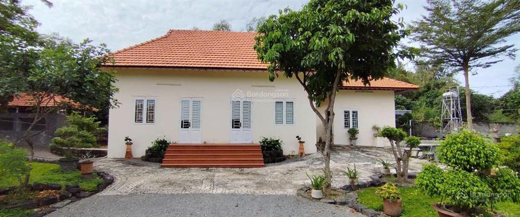 [cực hiếm] 1.1ha đất mặt tiền ql22 ngang hơn 30m nở hậu, 600m2 thổ cư, gần chợ la ngà