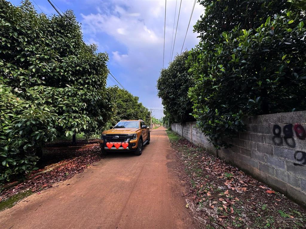 125m² full thổ cư  đường bê tông 7m  chỉ 770 triệu