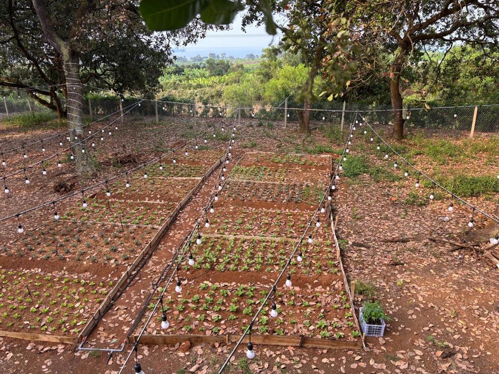 Giảm 200 triệu hơn 1.081m2 view hồ trị an, ôm 62m mặt suối, chỉ khoảng 900 triệu