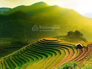 Mặt tiền phan bá phiến 125m2 giá chỉ 12tỷ