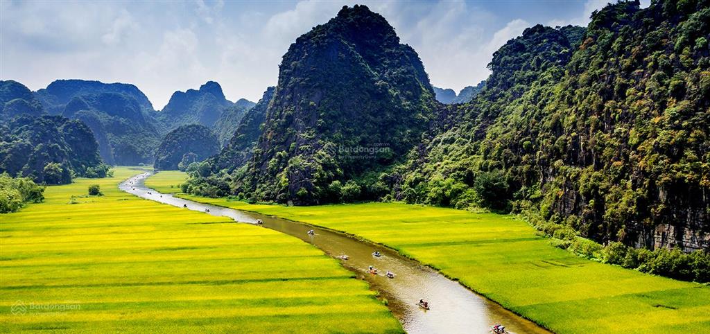 Bán đất tại lê tấn trung, thọ quang, sơn trà, đà nẵng, 11 tỷ, 115m2