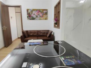 Cực sốc! cắt lỗ chung cư doãn kế thiện 45m2, 2 ngủ, 1 wc  full đồ ở luôn