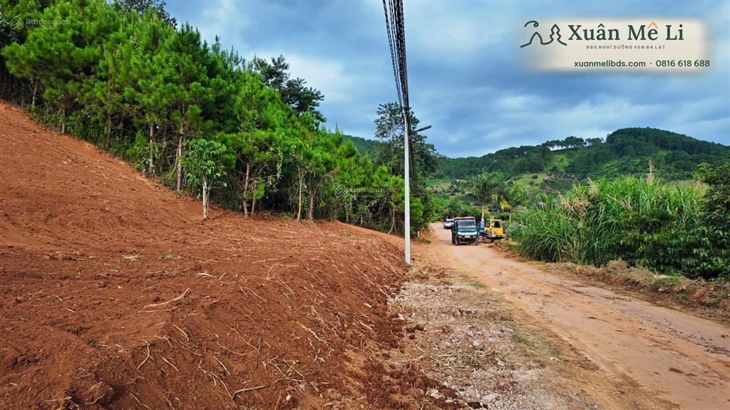 Bán 2 lô đất liền kề ven đà lạt, đường ô tô, diện tích 368371m², sổ hồng riêng