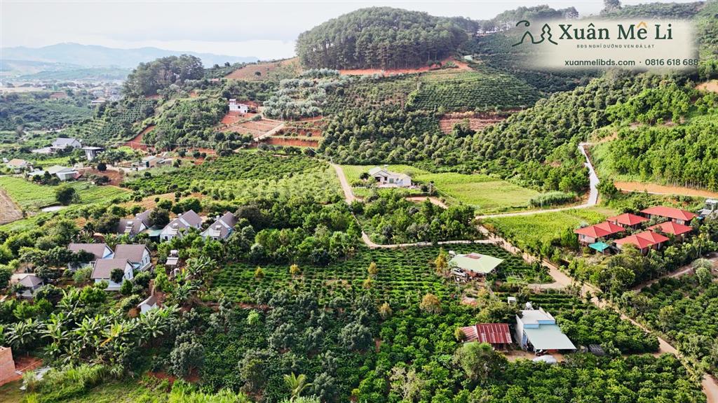 Bán 2 lô đất liền kề ven đà lạt, đường ô tô, diện tích 368371m², sổ hồng riêng