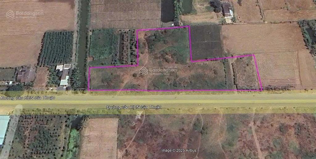 Bán đất ngoài kcn gia thuận, gò công, tiền giang giá 26 tỷ thương lượng