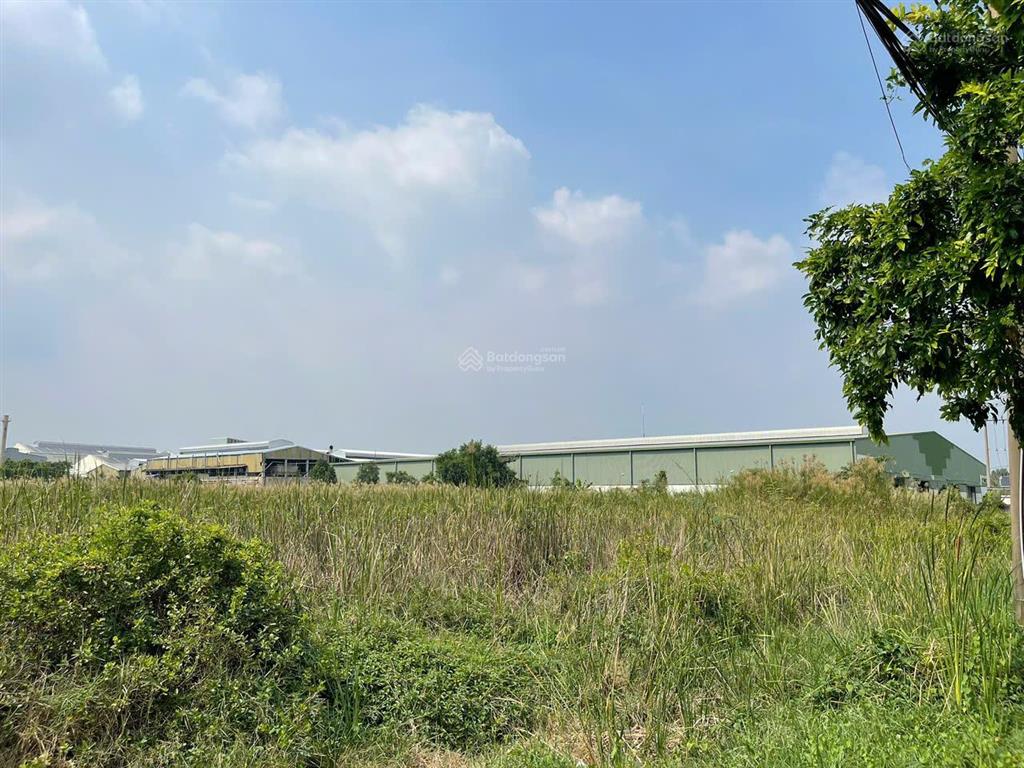 Bán đất kcn long an diện tích lớn 5.000m², pháp lý rõ ràng