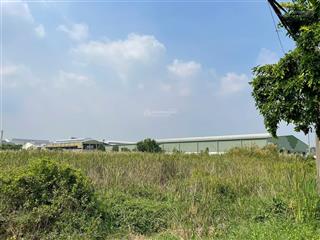 Bán đất kcn long an diện tích lớn 5.000m², pháp lý rõ ràng