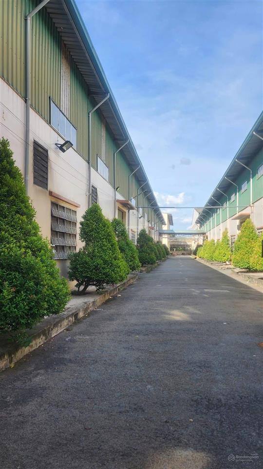 Cho thuê cụm nhà xưởng quy mô 25.000m2 vị trí đẹp, hạ tầng hoàn chỉnh tại bến lức long an