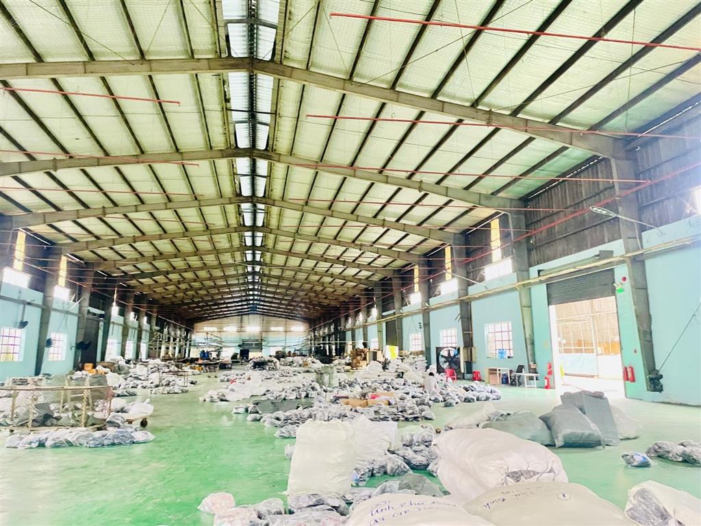 Cho thuê cụm nhà xưởng quy mô 25.000m khuôn viên 30.000m2, vị trí đẹp, hạ tầng hoàn chỉnh
